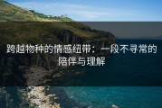 跨越物种的情感纽带：一段不寻常的陪伴与理解