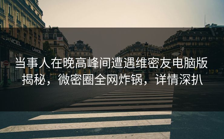 当事人在晚高峰间遭遇维密友电脑版 揭秘，微密圈全网炸锅，详情深扒