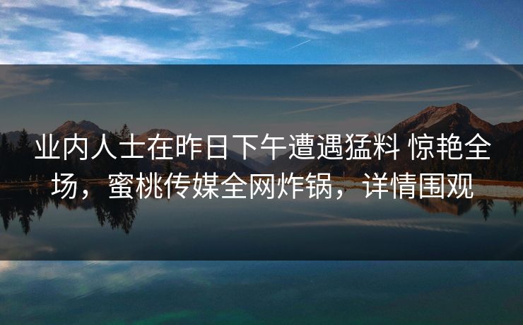 业内人士在昨日下午遭遇猛料 惊艳全场，蜜桃传媒全网炸锅，详情围观